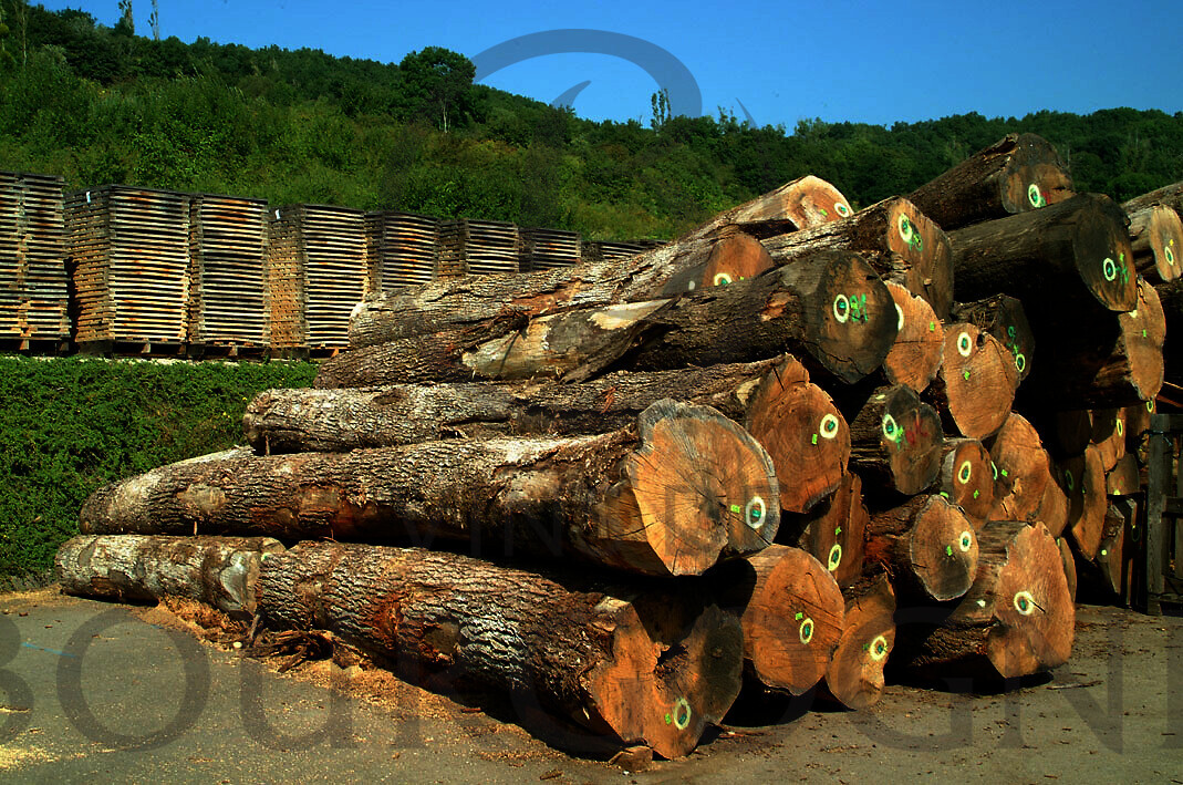 wineoakforbarrelsvindebourgogne